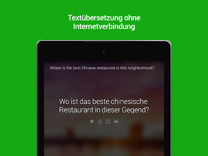 Microsoft Translator – IT Guru (Guru e.U.)