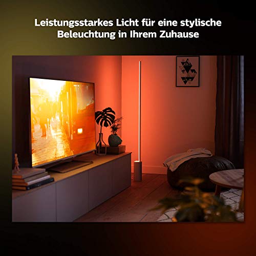 Philips Hue White & Col. Amb. Lampada da terra LED Signe, dimmerabile, 16 milioni di colori, controllabile tramite app, compatibile con Amazon Alexa (Echo, Echo Dot) - EDV-Guru (Guru e.U.)