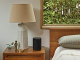 Sonos One SL nero - Altoparlante intelligente All-In-One (potente altoparlante WiFi con controllo app e AirPlay 2 - altoparlante multiroom per streaming musicale illimitato), senza controllo vocale - EDV-Guru (Guru e.U.)