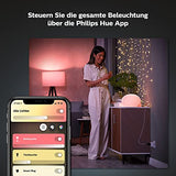 Philips Hue Smart Plug, presa intelligente, compatibile con Amazon Alexa (Echo, Echo Dot), bianco - EDV-Guru (Guru e.U.)
