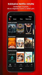 Netflix – IT Guru (Guru e.U.)