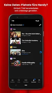 Netflix – IT Guru (Guru e.U.)