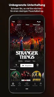 Netflix – IT Guru (Guru e.U.)