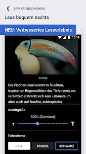 Wikipedia – IT Guru (Guru e.U.)
