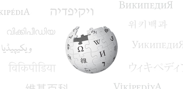 Wikipedia – IT Guru (Guru e.U.)