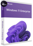 Software Windows 11 aziendale