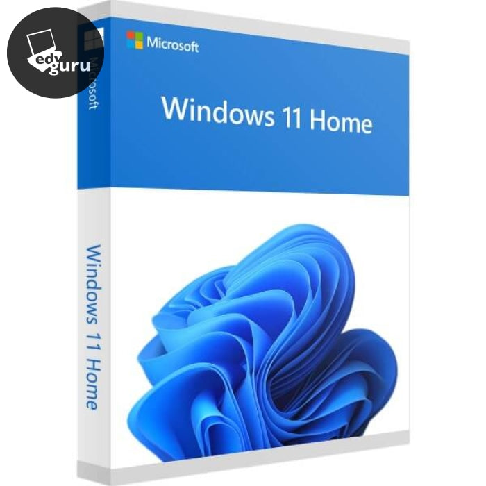 Software Windows 11 domestico